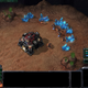 Illustration for article titled Battle.Net And StarCraft In Pictures